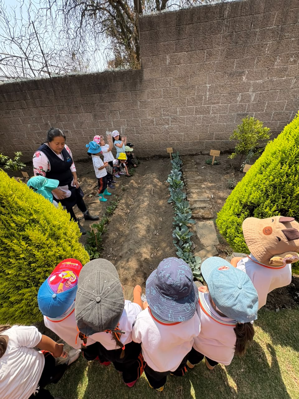 Huerta - jardín escolar