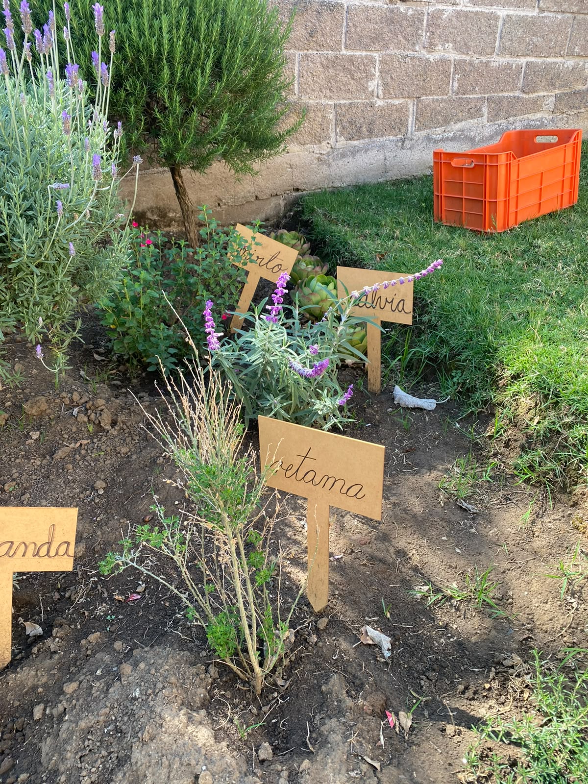 Huerta Kinder Village Montessori